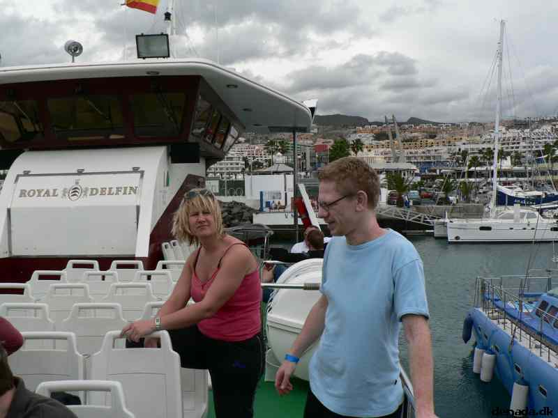* Image 25