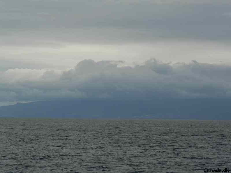 * Image 32