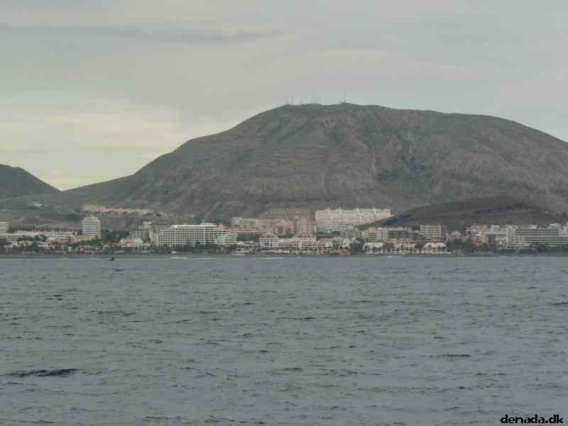 * Image 37