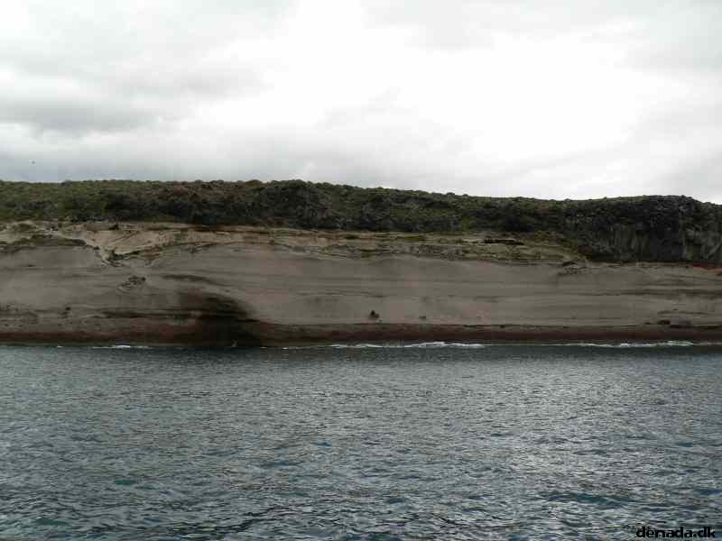 * Image 50