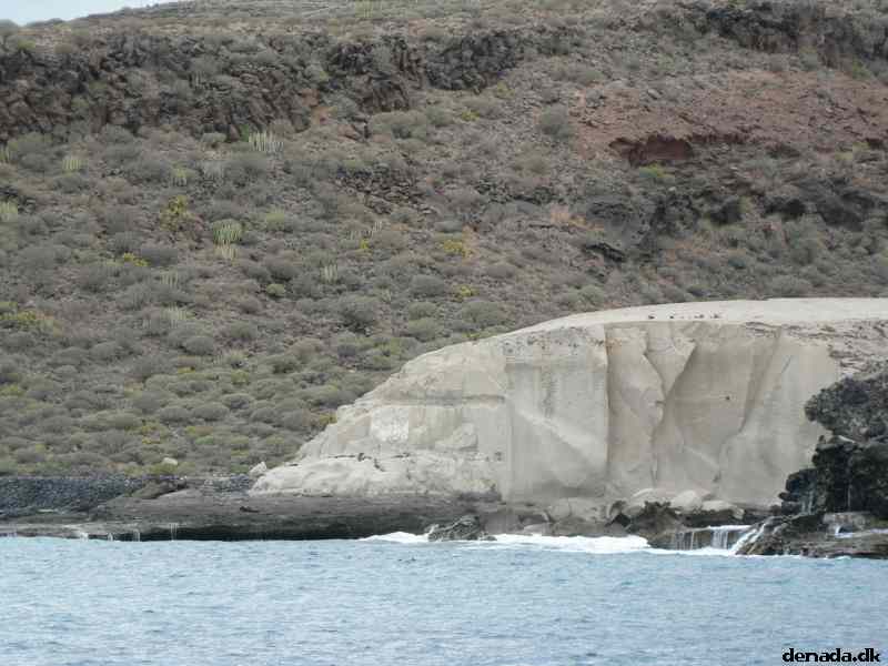 * Image 62