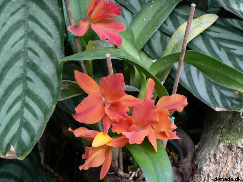 * Image 190