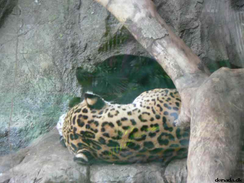 * Image 202