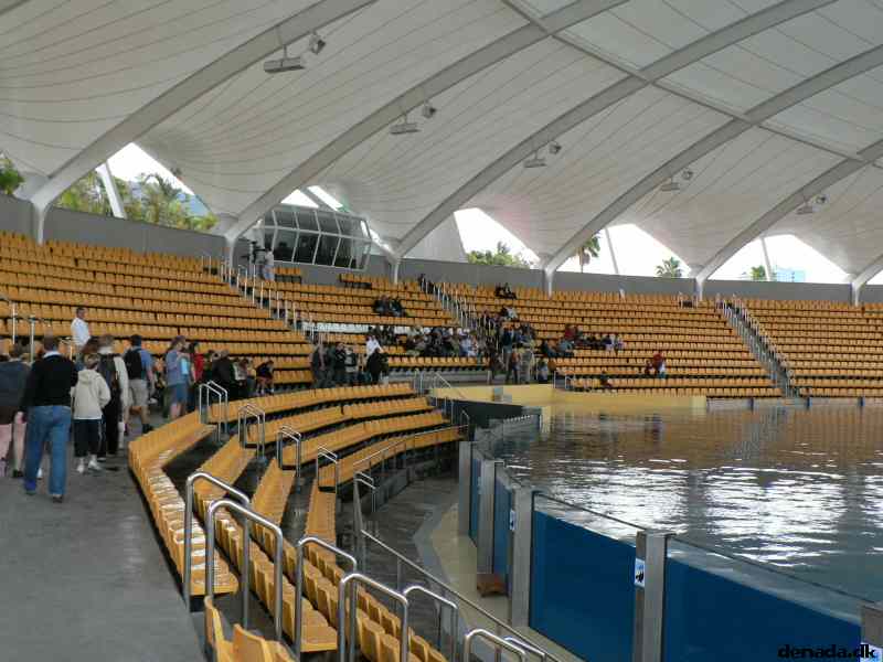 * Image 204
