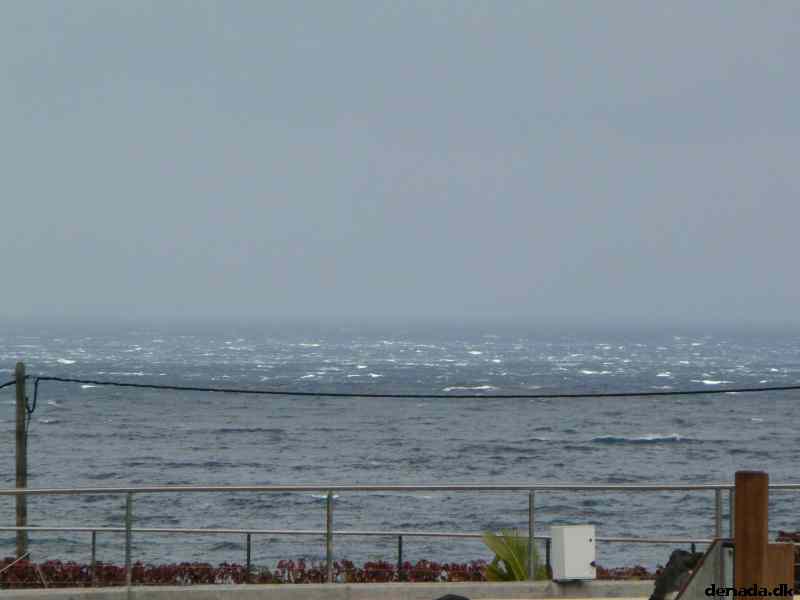 * Image 207