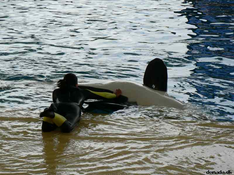 * Image 235