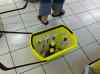 HPIM1486.JPG - 2007:01:21 19:07:30