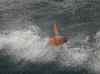 HPIM1697.JPG - 2007:01:26 16:08:36