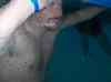 HPIM1699.JPG - 2007:01:26 16:10:06