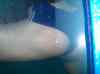 HPIM1701.JPG - 2007:01:26 16:10:23