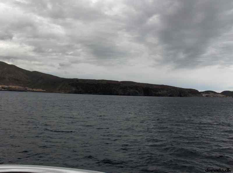 * Image 204