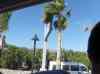 HPIM1454.JPG - 2007:01:21 14:09:03