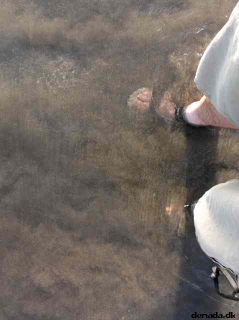 * Image 32