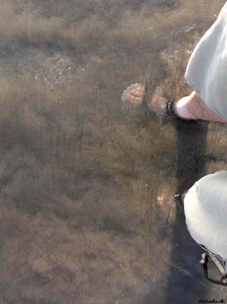 * Image 32