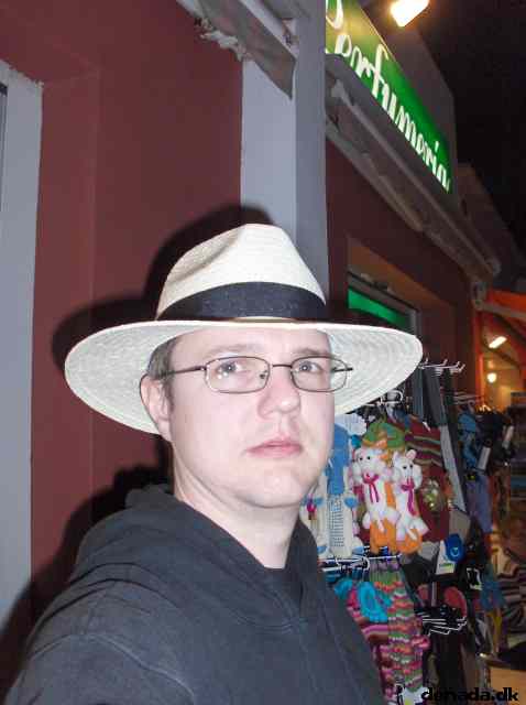 * Image 29
