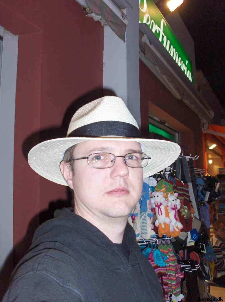 * Image 29
