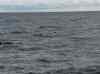 HPIM1673.JPG - 2007:01:26 14:49:11