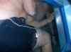 HPIM1700.JPG - 2007:01:26 16:10:15