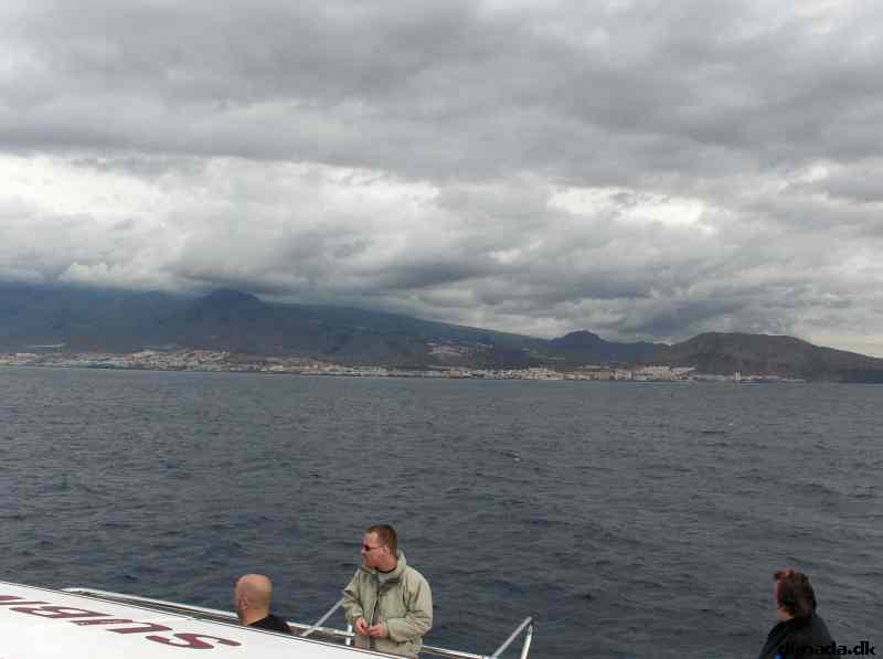 * Image 17