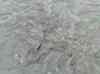 HPIM1795.JPG - 2007:01:27 14:38:00