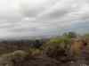 HPIM1801.JPG - 2007:01:27 15:43:39