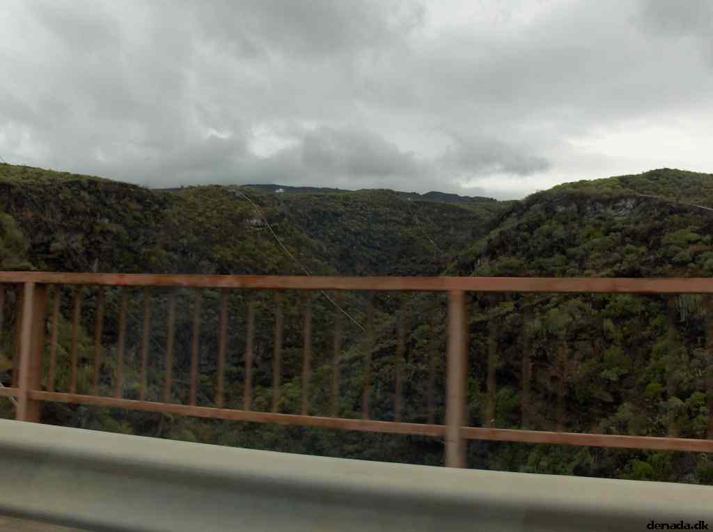 * Image 4