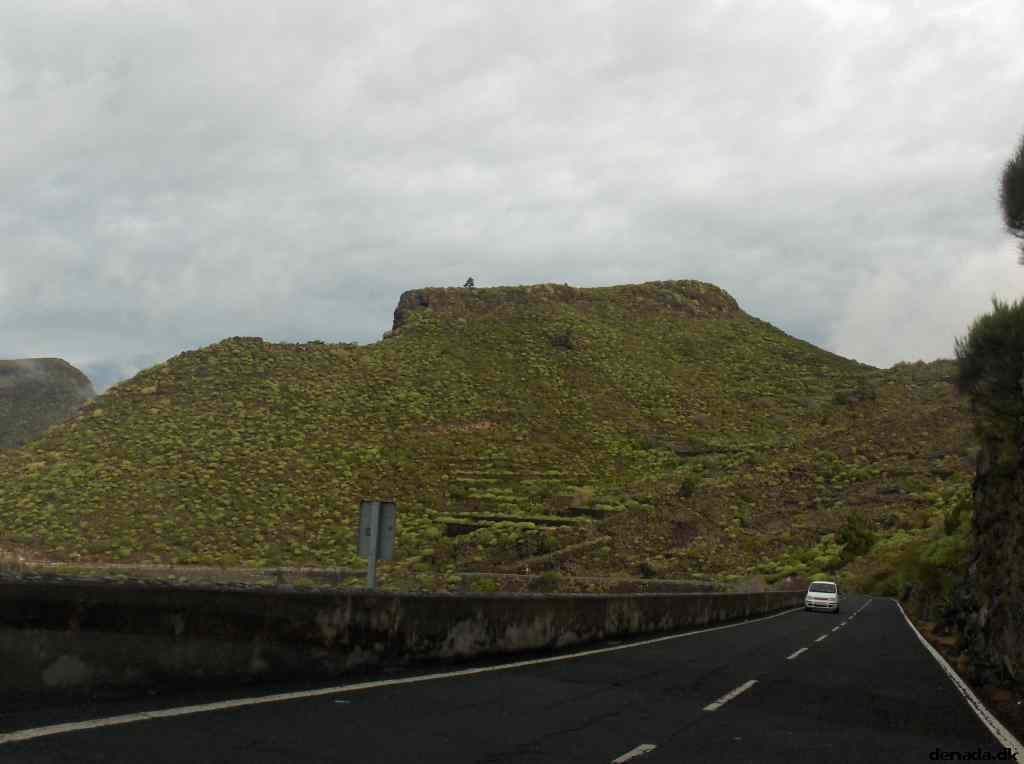 * Image 7