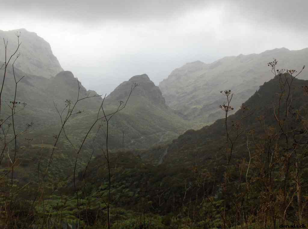 * Image 33