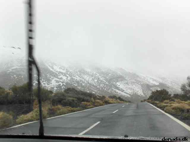 * Image 46