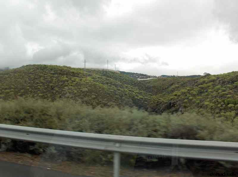 * Image 6