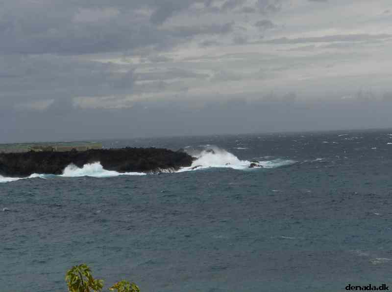 * Image 22