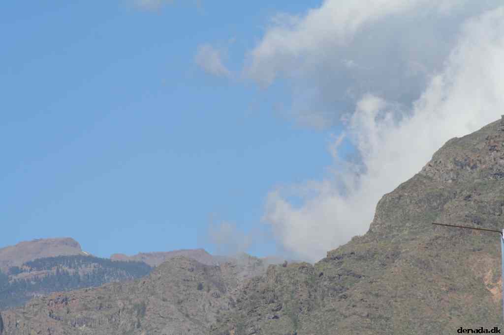 * Image 38