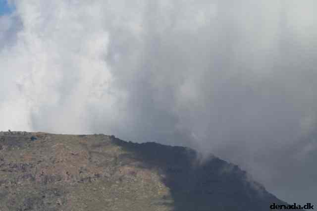 * Image 41