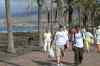 Tenerife_466.jpg - 2007:01:26 13:24:40