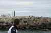 Tenerife_501.jpg - 2007:01:26 16:15:20