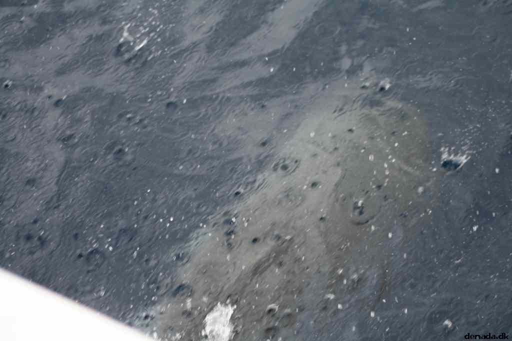 * Image 106