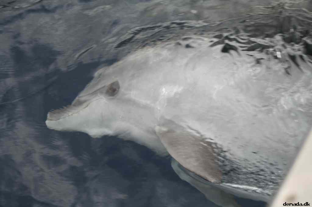* Image 117