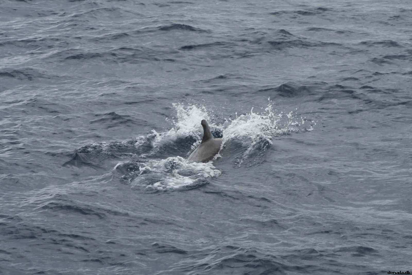 * Image 87
