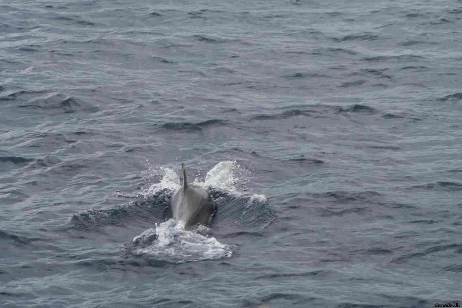 * Image 88