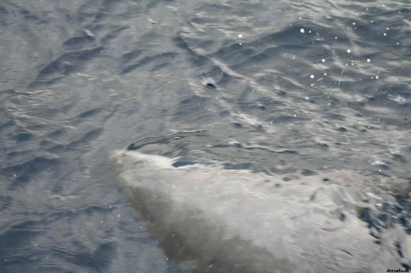 * Image 108