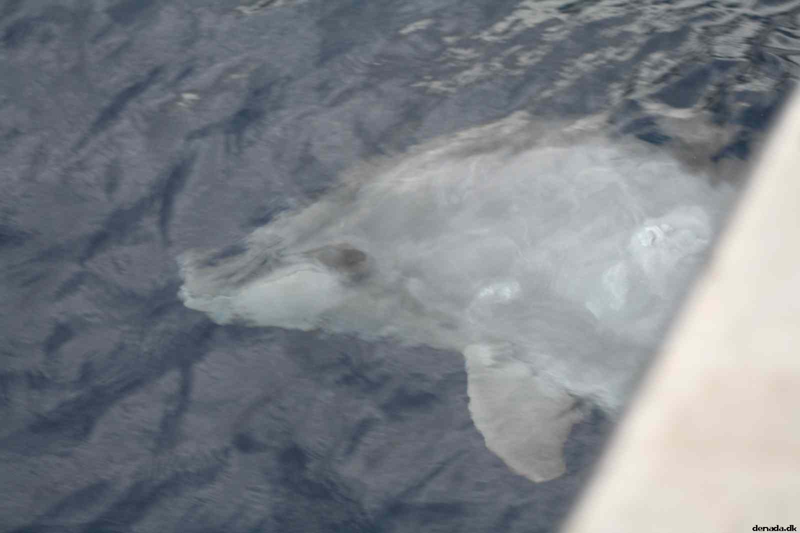 * Image 112