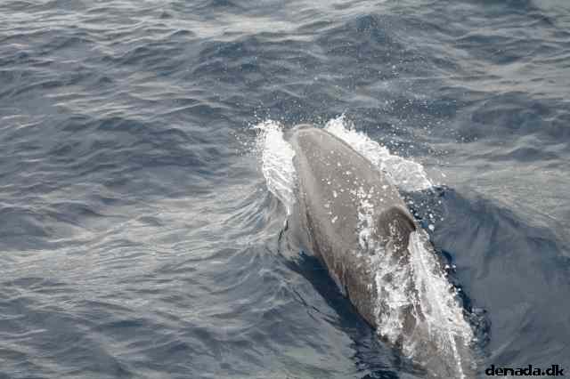 * Image 104
