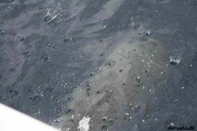 * Image 106
