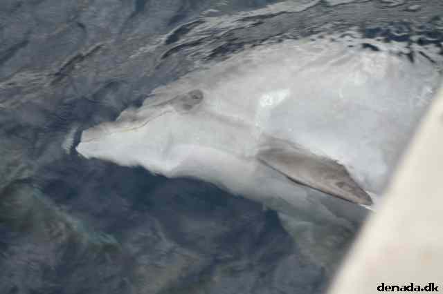 * Image 113