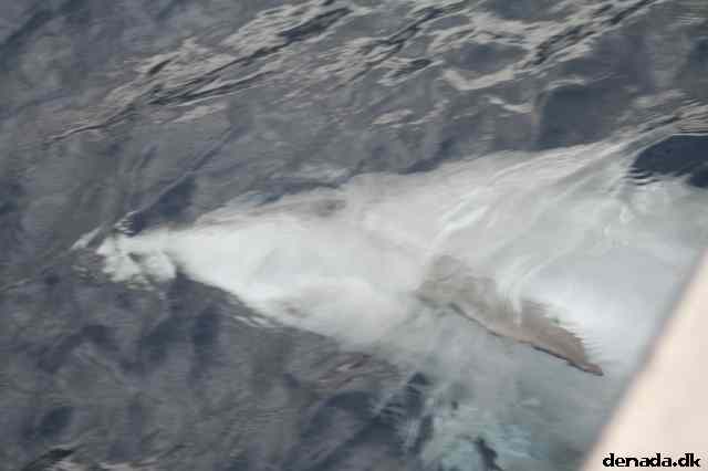 * Image 115