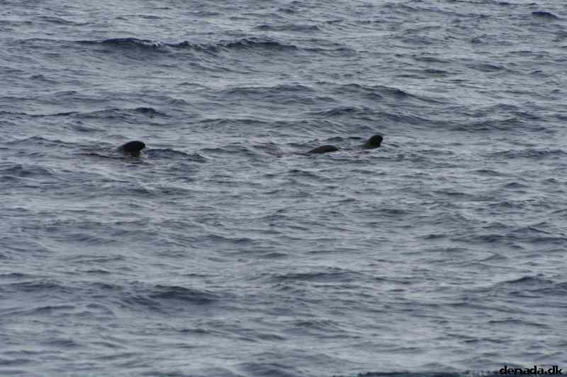 * Image 56