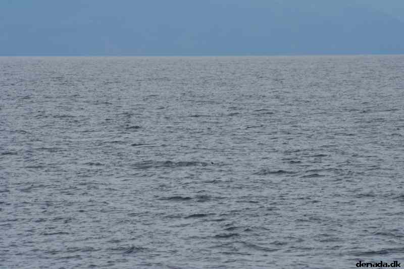 * Image 85