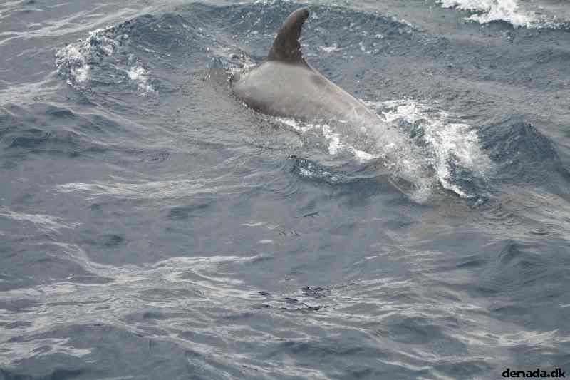* Image 103