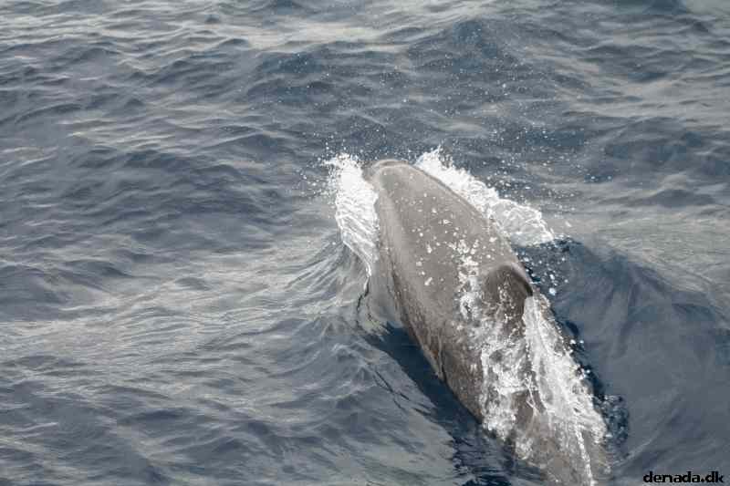 * Image 104