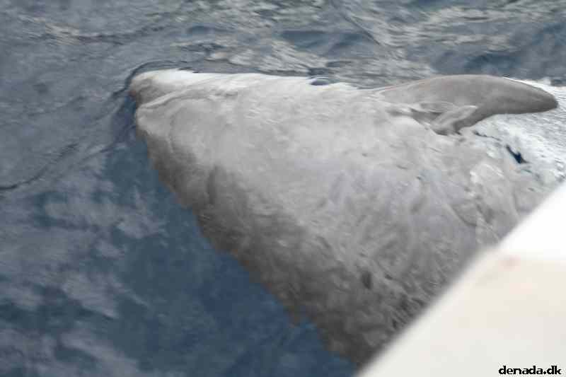 * Image 109